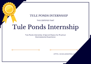 Tule Ponds Internship: A Special Chance for Practical Environmental Experience